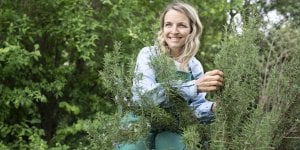 Quelle est cette plante qui previent les infections urinaires ?
