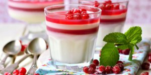 Recette coupe-faim : pannacotta a l-agar-agar