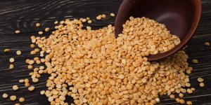 Les proteines vegetales sont-elles utiles pour les muscles ?