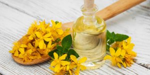 Millepertuis : une plante pour soulager les troubles de la menopause