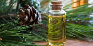 Rhume : comment bien utiliser les huiles essentielles ?