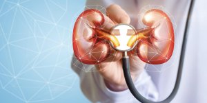 Creatinine elevee : 5 solutions efficaces pour la faire baisser sans traitement medicamenteux