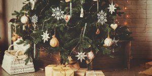 Champignons, insectes, parasites : votre sapin de Noel est bourre d-allergenes !