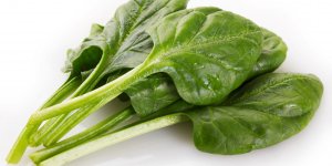 Epinards : des aliments vraiment riches en fer ?