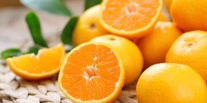 Complements aliments anti fatigue : qu-est-ce qu-ils contiennent ?