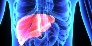 Cholangite biliaire primitive : la maladie silencieuse du foie qui peut evoluer en cirrhose