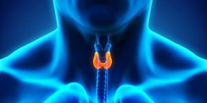 Cancer de la thyroide : l-ablation obligatoire ?