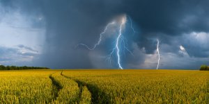 Qu-est-ce que l-asthme d-orages ?