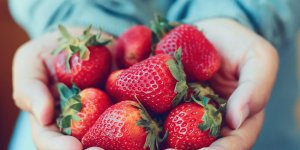 Allergie alimentaire : comprendre les allergies croisees
