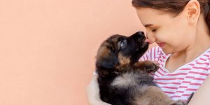Chien : 2 habitudes a stopper pour eviter la propagation de superbacteries