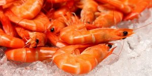 Irradiation : les aliments a risque