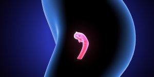 Moyens de contraception : cape cervicale ou diaphragme, la difference