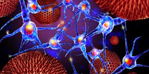 Meningite virale : est-elle contagieuse ?