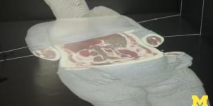 Plongez dans le corps humain en 3D