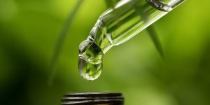 La posologie de l-huile essentielle de ravintsara contre la grippe