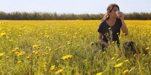 Allergie au pollen : peut-on la soulager avec de l-homeopathie ?