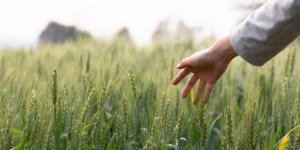 La slow life pour renforcer son epanouissement personnel