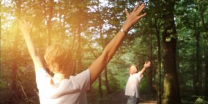 Sylvotherapie : les arbres peuvent-ils nous guerir ? 