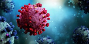 Covid-19 : vos organes vieilliraient de 3 a 4 ans apres une infection