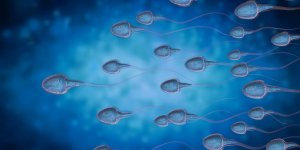 Spermogramme : bien comprendre ses resultats