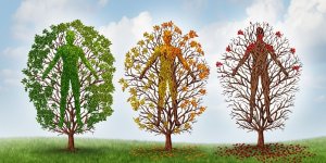 Vieillissement : 3 facteurs qui peuvent l’accelerer 