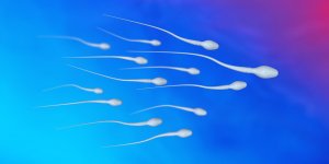 Ejaculation masculine : la quantite de liquide seminal libere