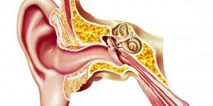 Douleur a l-oreille et a la gorge : est-ce la grippe ?