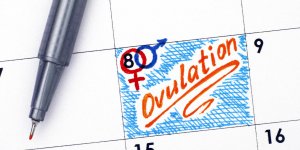 Desir d-enfant : calculer sa periode d-ovulation