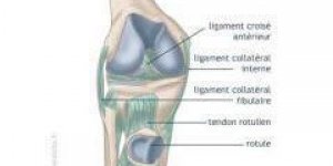 Une blessure frequente : Syndrome rotulien