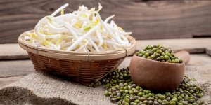 Les produits au soja contiennent des perturbateurs endocriniens 