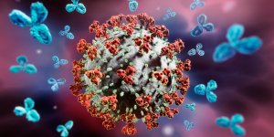 Variant BA.4 et BA.5 : avoir ete infecte par Omicron ne vous immunise pas