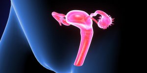 Contraception feminine : l’anneau contraceptif
