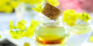 Les vertus des Omega 3 ! 