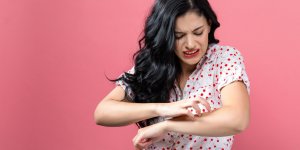 Piqures de moustique : pourquoi demangent-elles ?