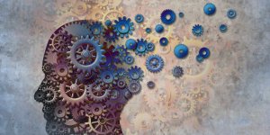 Demence : les 3 facteurs qui expliquent le plus grand nombre de cas