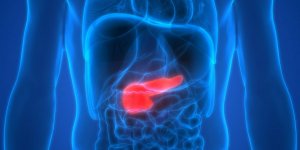 Un medicament pourrait stopper le developpement du cancer du pancreas