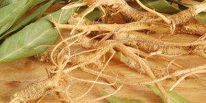 Ginseng : un antifatigue naturel pour le visage ?