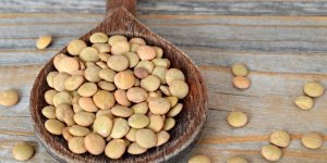 Fibres : des coupe-faim naturels efficaces