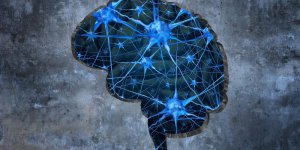 Paranoia et Alzheimer peuvent-ils etre lies ?