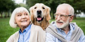 Quel animal de compagnie choisir apres 70 ans ?