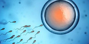 Insemination artificielle : comment se deroule la procedure ?