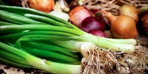 Poireaux : 5 recettes saines et de saison
