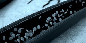 Anevrisme : ou se situe l-aorte abdominale ?