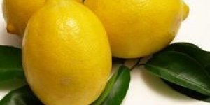Citron : des vertus extraordinaires !