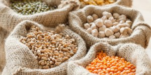 Regime vegetarien : les legumes les plus riches en fer