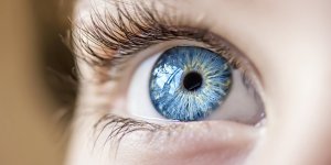 Sante oculaire : 3 aliments que mange regulierement une nutritionniste