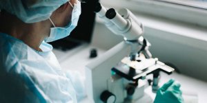Des chercheurs decouvrent l-existence d-un nouvel organe 