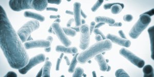 Gastro-enterite : les probiotiques inefficaces pour retablir la flore intestinale ?