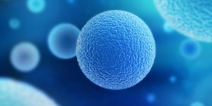 Les cancers qui recidivent le plus
