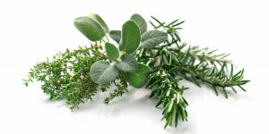 L-herbe n°1 pour reduire l-inflammation, selon un dieteticien
